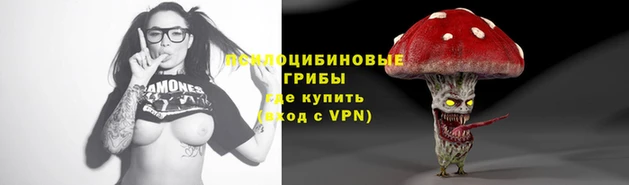 скорость mdpv Каменногорск