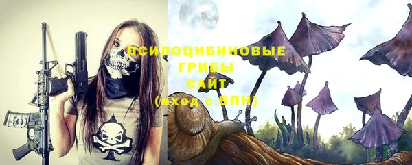 ALPHA PVP Каменка