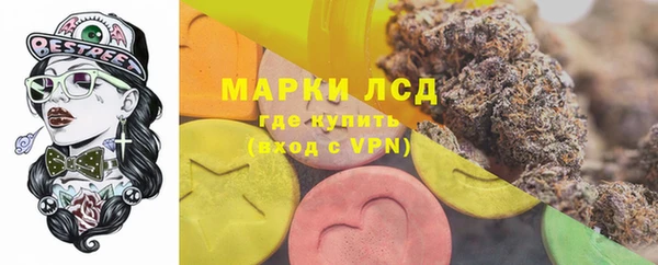 ALPHA PVP Каменка