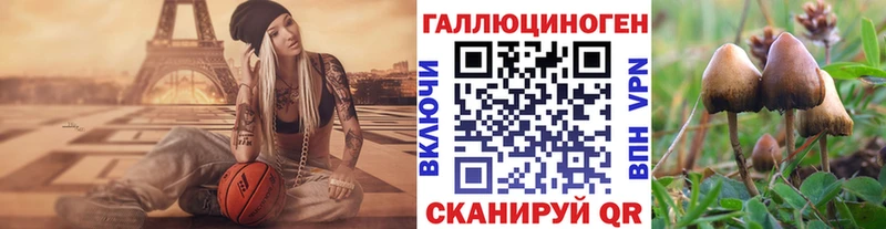 Псилоцибиновые грибы Psilocybine cubensis  Купить закладки  Зверево 